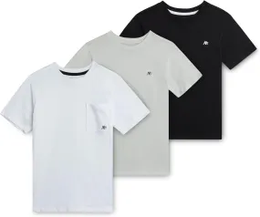 AEROPOSTALE Boys' Active T-Shirts - 3 Pack Soft Jersey Crew Neck Short Sleeve Logo Printed Pocket Tees for Boys (Sizes: 8-16)