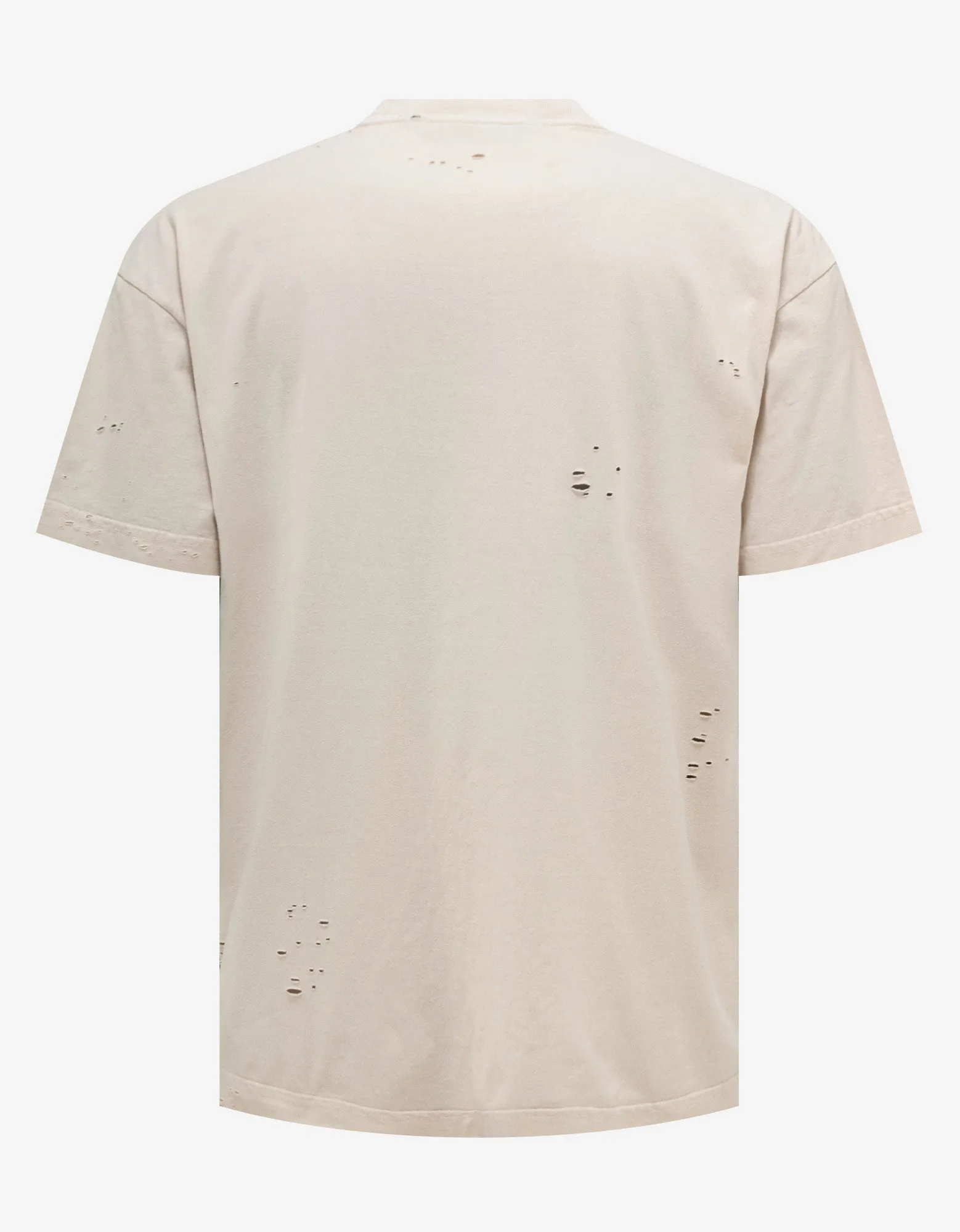Neutral Palm Sign Vintage T-Shirt